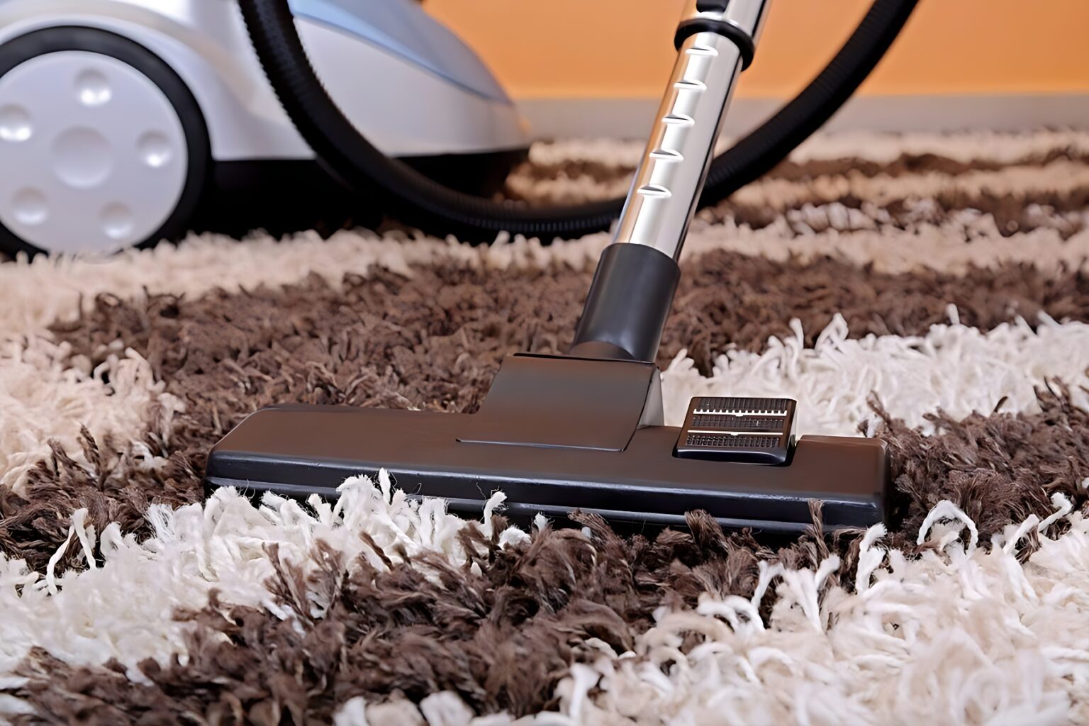Say Goodbye to Odours with Our Expert Carpet Cleaning Services