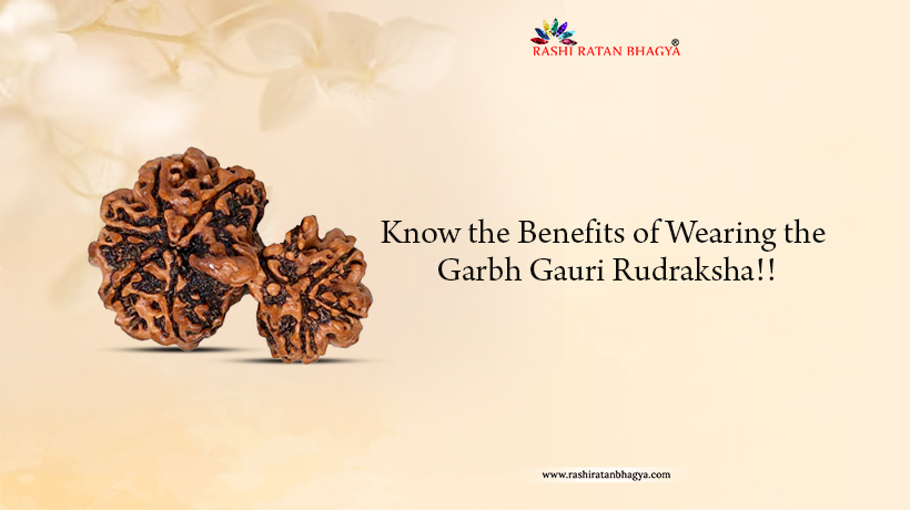 Know the Benefits of Wearing the Garbh Gauri Rudraksha!!
