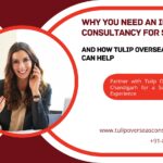 Tulip Overseas Consultancy